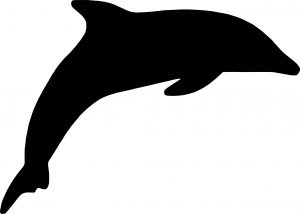 Dolphin Coloring Page 116
