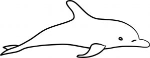 Dolphin Coloring Page 173