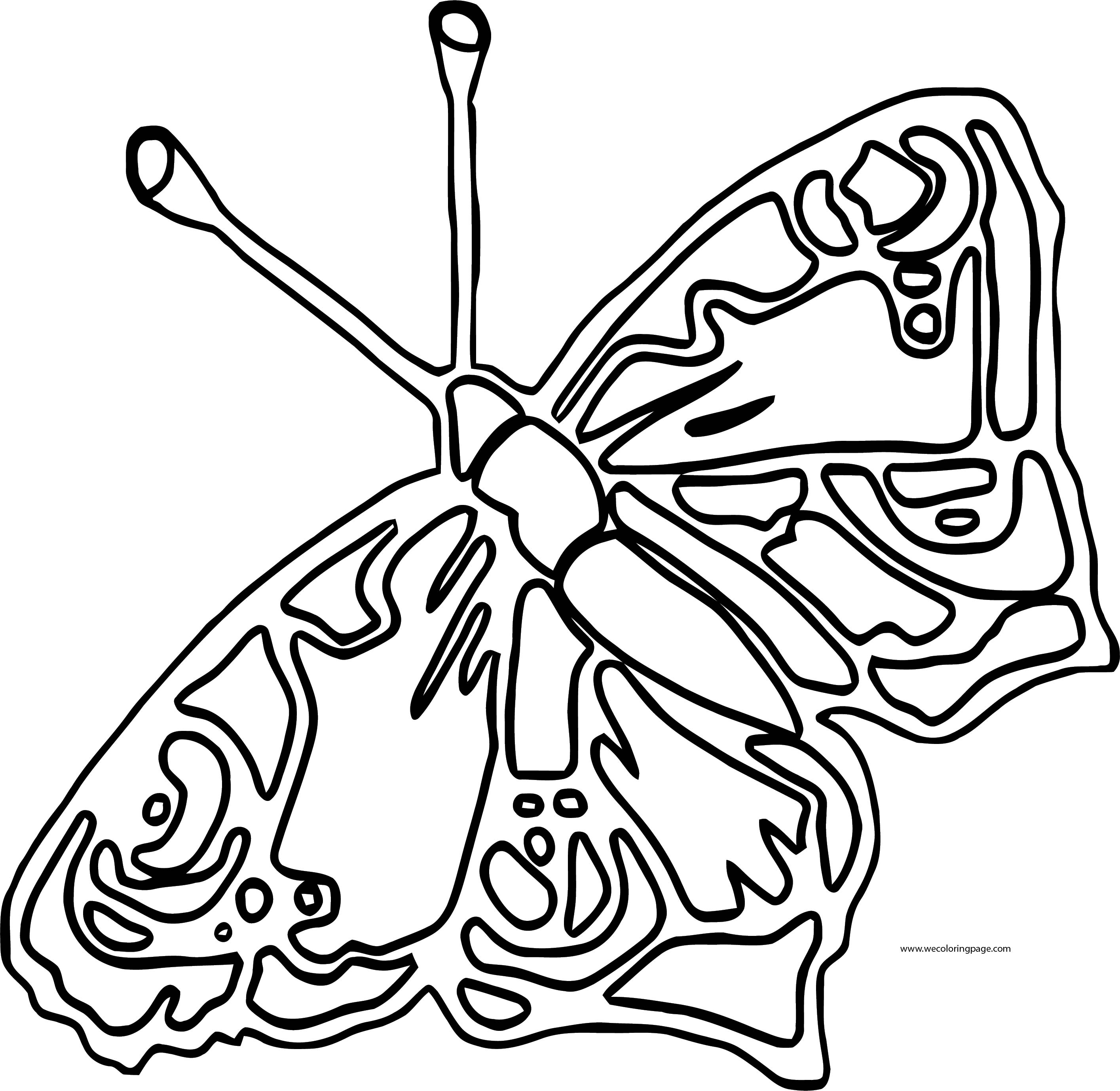 Outline Butterfly Coloring Page - Wecoloringpage.com