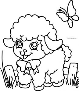 Sheep And Butterfly Cute Coloring Page