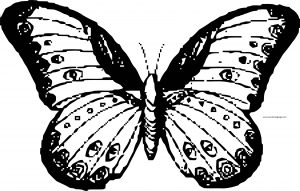 Top Pixel Butterfly Coloring Page