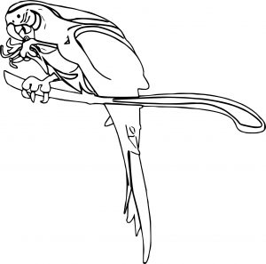 Parrot Coloring Page 015