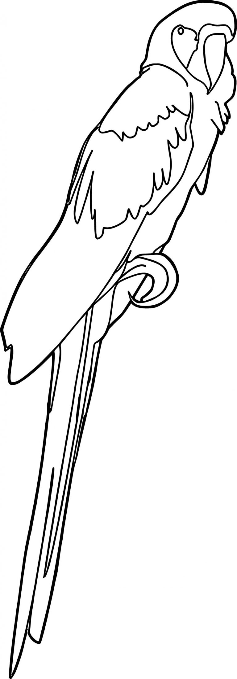 Parrot Coloring Page 030 - Wecoloringpage.com