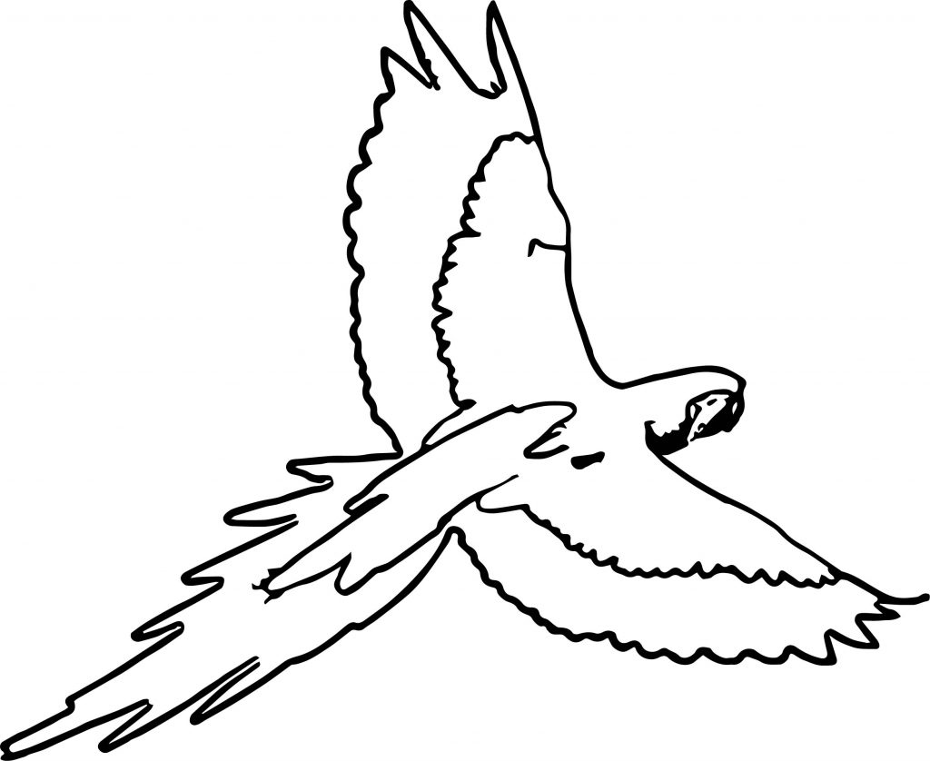 Parrot Coloring Page 099 | Wecoloringpage.com