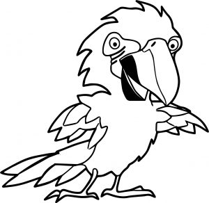Parrot Coloring Page 081