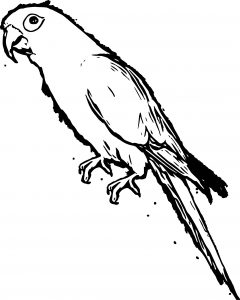 Parrot Coloring Page 083