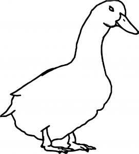 Duck Coloring Page WeColoringPage 068