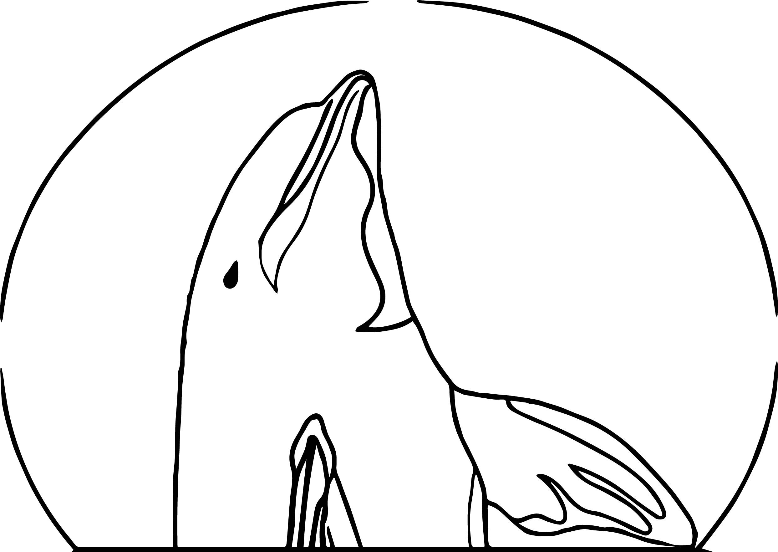 Dolphin Coloring Page 011