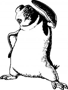Happy Feet Coloring Pages 04