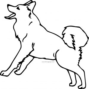 Husky 12 Coloring Page