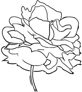 Red Rose Flower Coloring Page