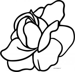 Rose Coloring Page 02