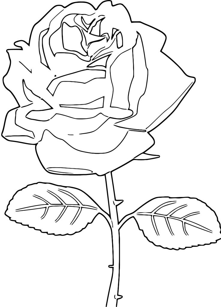 Rose Flower Coloring Page 018 | Wecoloringpage.com