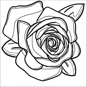 Rose Flower Coloring Page 011