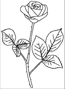 Rose Flower Coloring Page 125