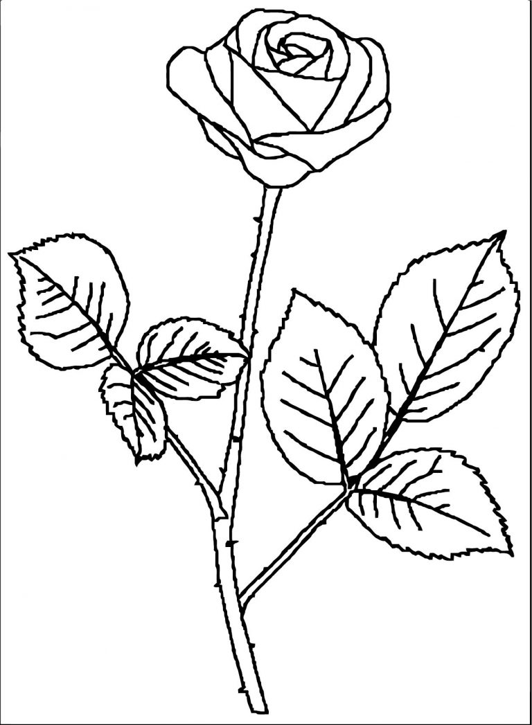 Rose Images Coloring Page | Wecoloringpage.com