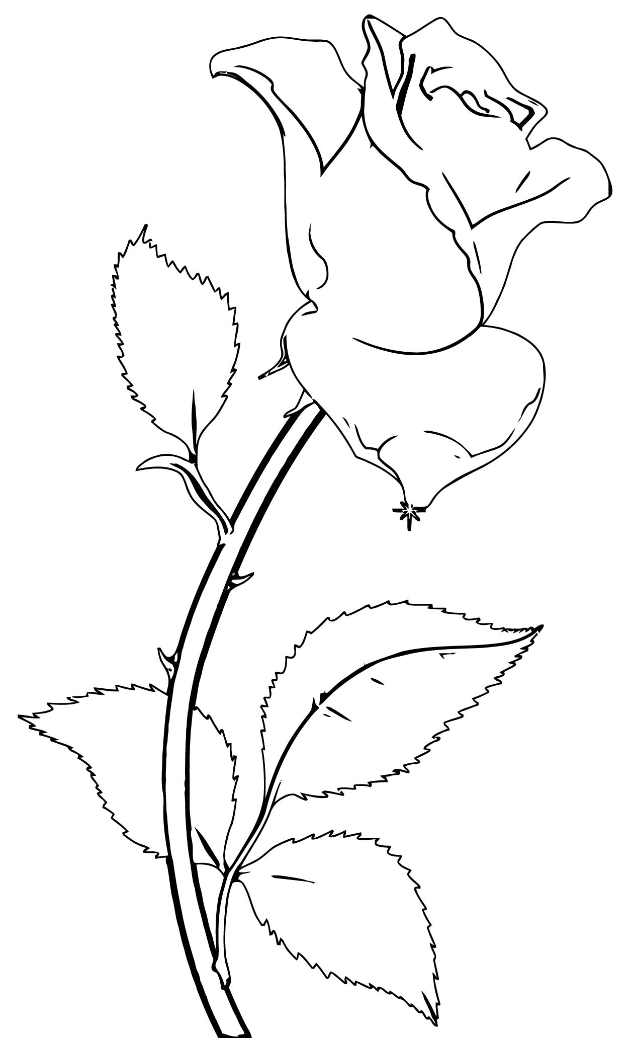 Rose Flower Coloring Page 136 - Wecoloringpage.com
