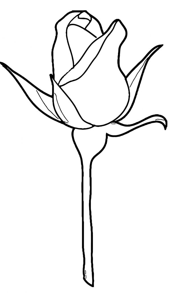 Rose Flower Coloring Page 152 - Wecoloringpage.com