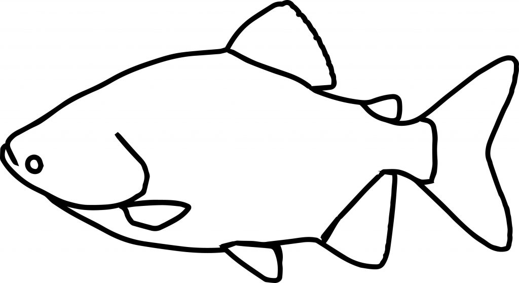 Colossoma Fish Coloring Page - Wecoloringpage.com