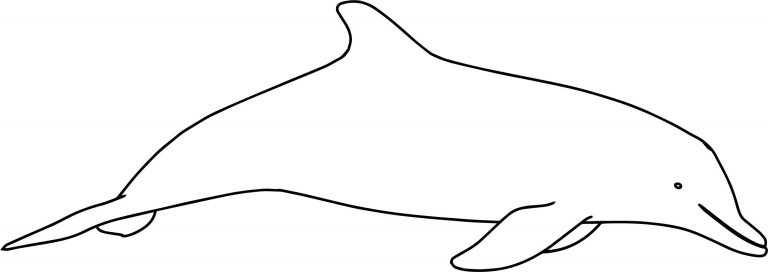 Dolphin Smile Coloring Page - Wecoloringpage.com