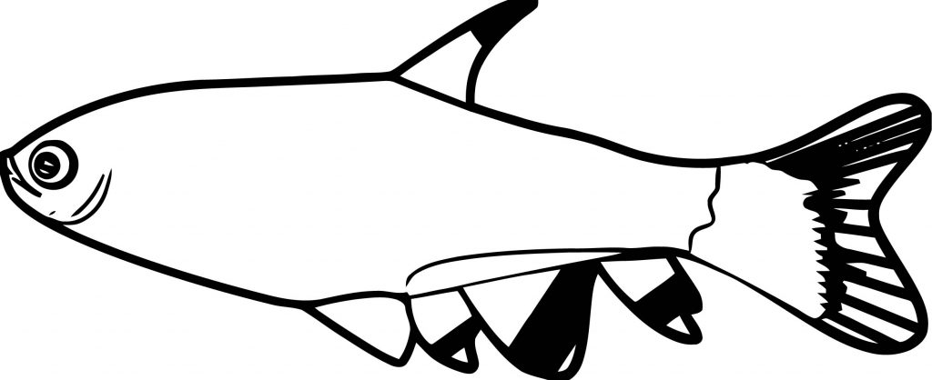 Fish Coloring Page WeColoringPage 126 - Wecoloringpage.com