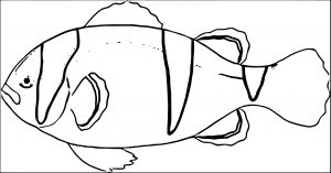 Fish Coloring Page WeColoringPage 127