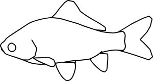 Fish11 Coloring Page