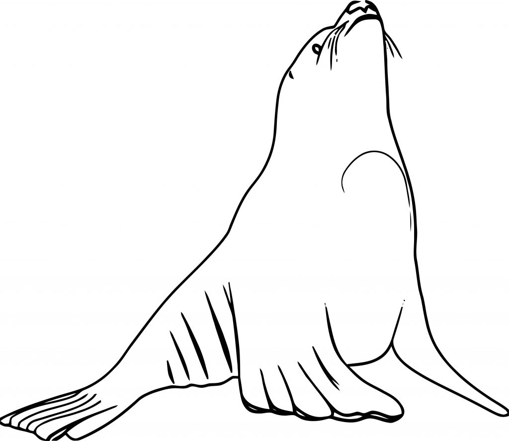 Kihada Fish Coloring Page | Wecoloringpage.com