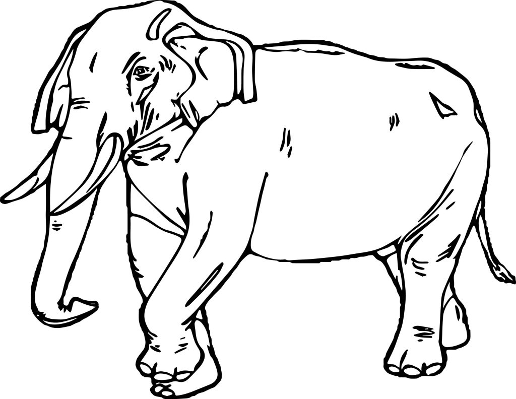 Elephant Side Sheet Coloring Page | Wecoloringpage.com