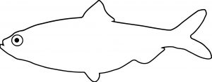 Fish Coloring Page Wecoloringpage 060