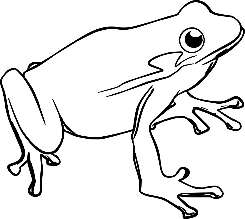 Frog Face Coloring Page - boringpop.com