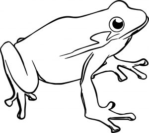 Frog Coloring Page 098