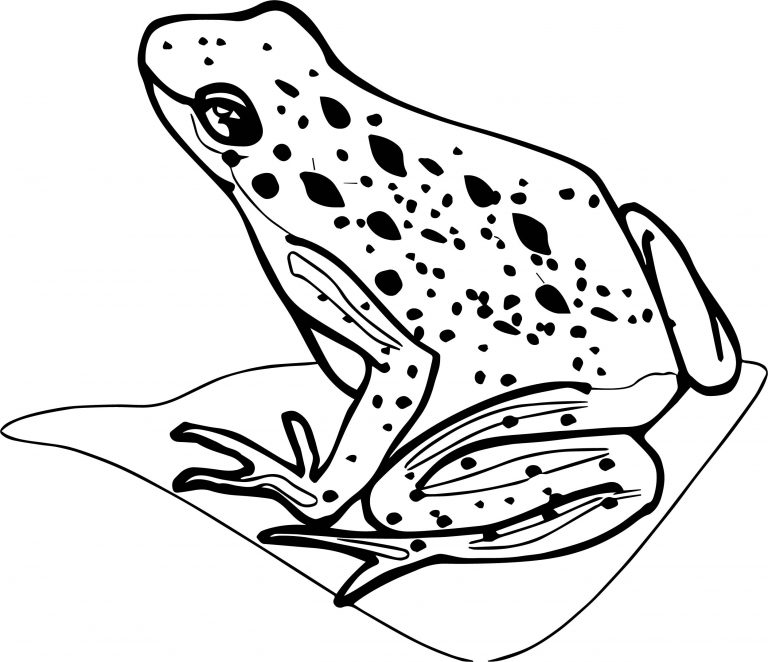 Frog Coloring Pages | Wecoloringpage.com