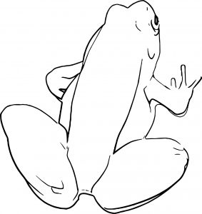 Frog Coloring Page 177