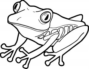 Frog Coloring Page 197
