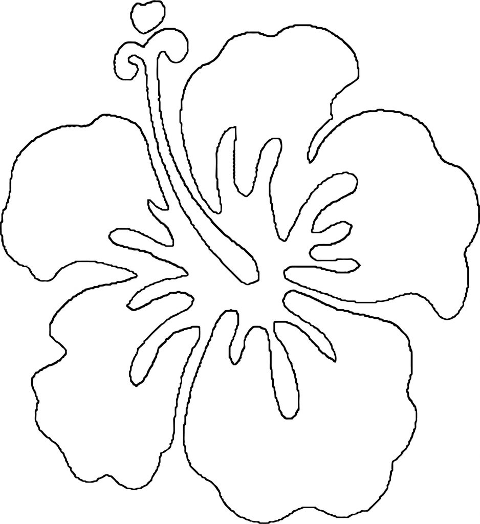 Hawaiian Flower Coloring Page WeColoringPage 01 - Wecoloringpage.com