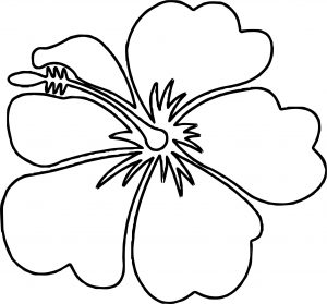 Hawaiian Flower Coloring Page WeColoringPage 04