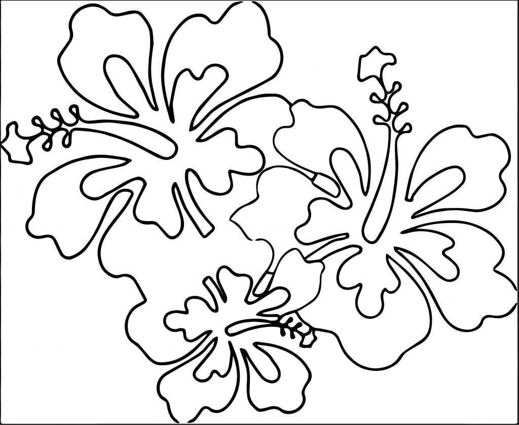 Hawaiian Flower Coloring Page WeColoringPage 12 - Wecoloringpage.com