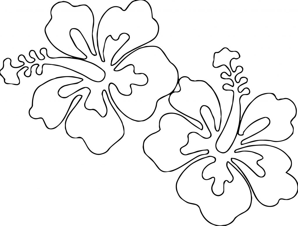 Hawaiian Flower Coloring Page WeColoringPage 19 - Wecoloringpage.com