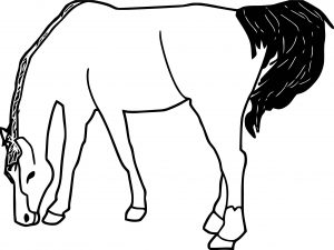 Horse Coloring Page Wecoloringpage 003