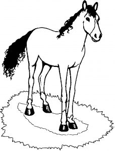Horse Coloring Page Wecoloringpage 031