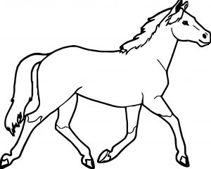 Horse Coloring Page Wecoloringpage 045