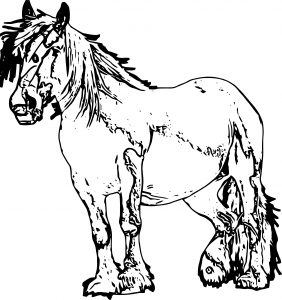 Horse Coloring Page Wecoloringpage 129