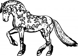 Horse Coloring Page Wecoloringpage 142