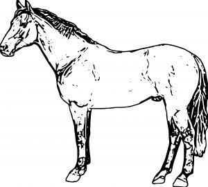 Horse Coloring Page Wecoloringpage 152