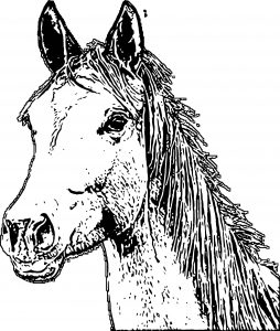 Horse Coloring Page Wecoloringpage 157