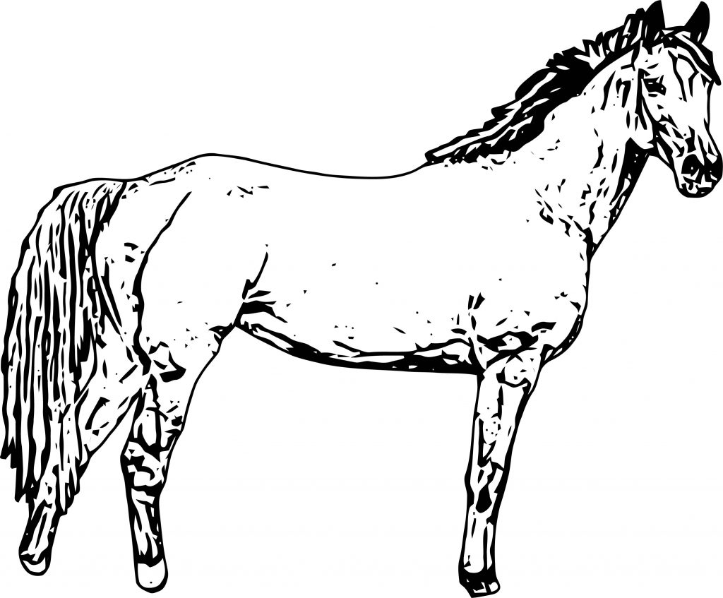 Cartoon Horse Coloring Page | Wecoloringpage.com