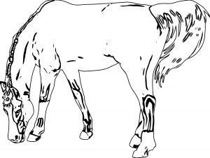 Horse Coloring Page Wecoloringpage 165