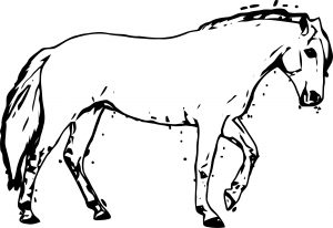 Horse Coloring Page Wecoloringpage 170