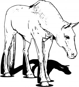 Horse Coloring Page Wecoloringpage 174